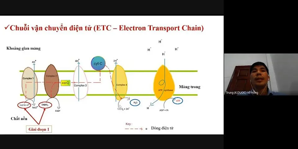 Chu I Truy N Lectron Di N Ra U