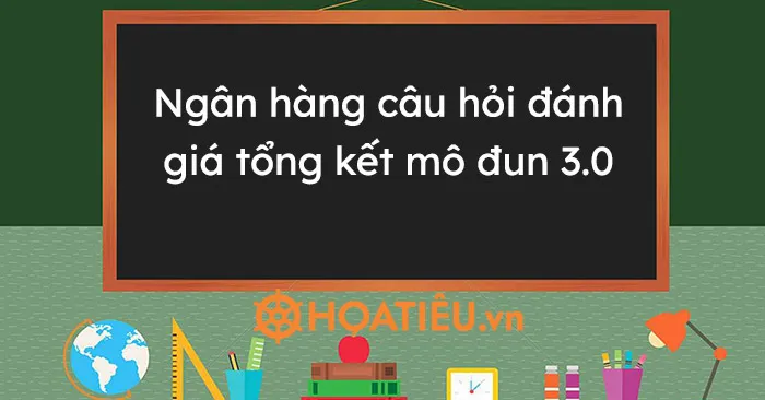 Ngân hàng câu hỏi đánh giá tổng kết mô đun 3.0 - Hoatieu.vn