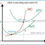 Kinh tế học (P21: Thị trường cạnh tranh hoàn hảo)