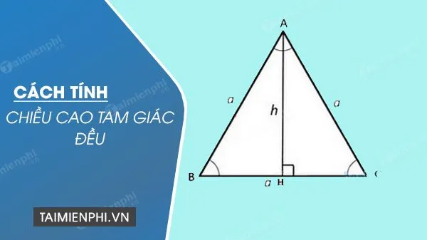 Tìm hiểu công thức tính đường cao trong tam giác đều