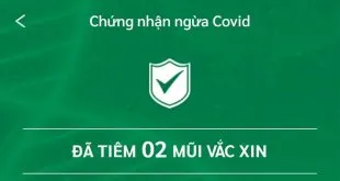 Cách tra cứu thẻ xanh, giấy chứng nhận tiêm chủng ngừa Covid-19