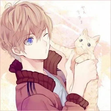 avatar cậu bé và con mèo