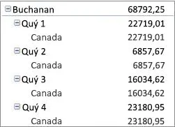 PivotTable dưới dạng biểu mẫu nén