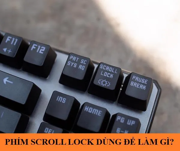 phim scroll lock dung de lam g