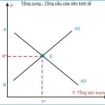 Kinh tế học (P8: Mô hình tổng cung  tổng cầu)