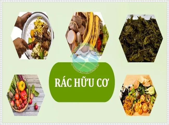 Cách xử lý rác thải hữu cơ