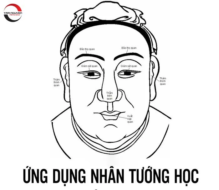 nhân tướng học là gì