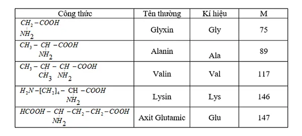 axit amin là gì và bảng alpha amino axit Axit amin là gì? Cấu trúc, Tính chất và Vai trò của Axit amin