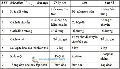 Nêu đặc điểm chung của ngành ruột khoang 2