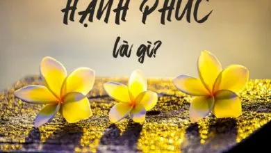 Hạnh phúc là gì? Làm thế nào để chạm vào hạnh phúc