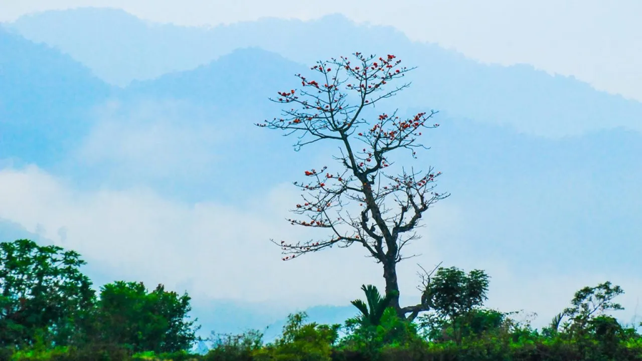 Dãy núi Trường Sơn nằm ở đâu?