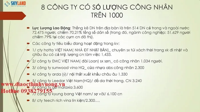 Các công ty có nhân viên hơn 1000 nhân viên hiện tại trong KCN Bàu Bàng