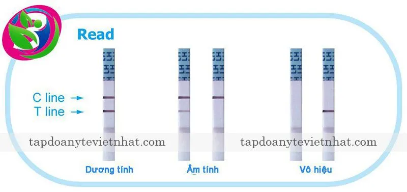  Cách đọc kết quả trên que thử rụng trứng