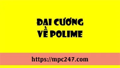 Polime là gì? danh pháp, phân loại, hóa học phổ thông