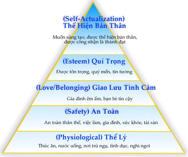 Nhu cầu thị trường là gì