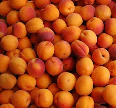 apricot.