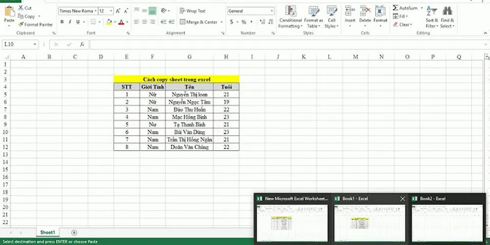 Cách copy sheet trong Excel