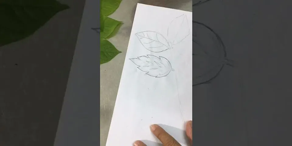 vẽ cách điệu lá cây đơn giản