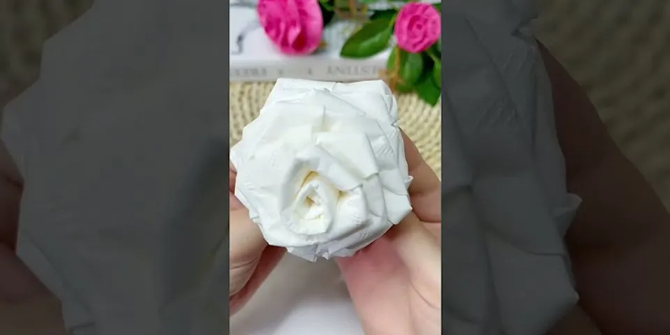 cách làm hoa hồng bằng giấy vệ sinh