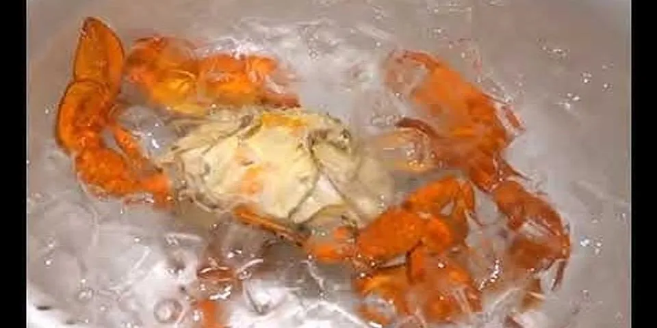 Cách làm thịt cua biển cho bé