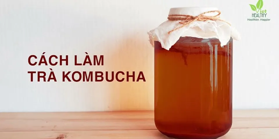 Cách làm trà Kombucha Viethealthy