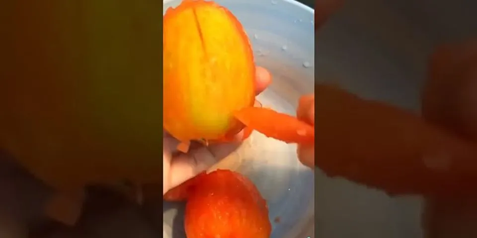 Cách nấu dấm cá cà chua
