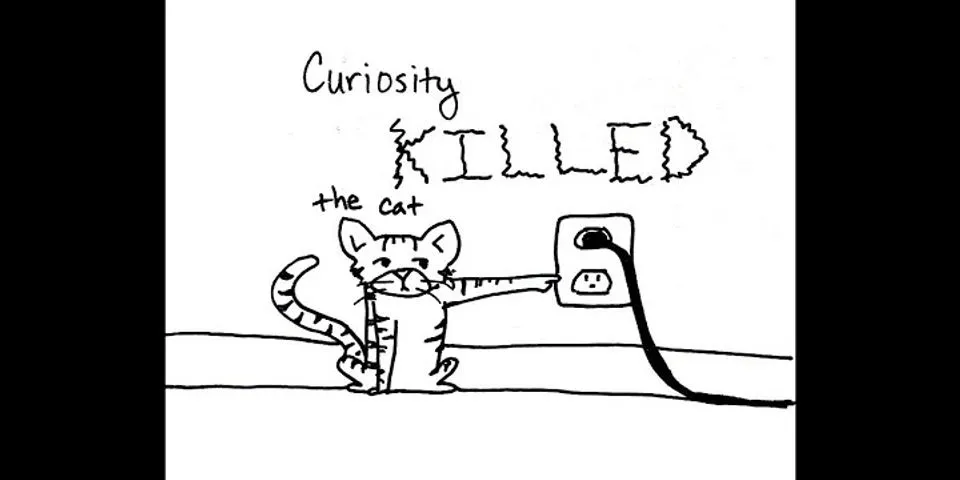 Curiosity killed the cats là gì