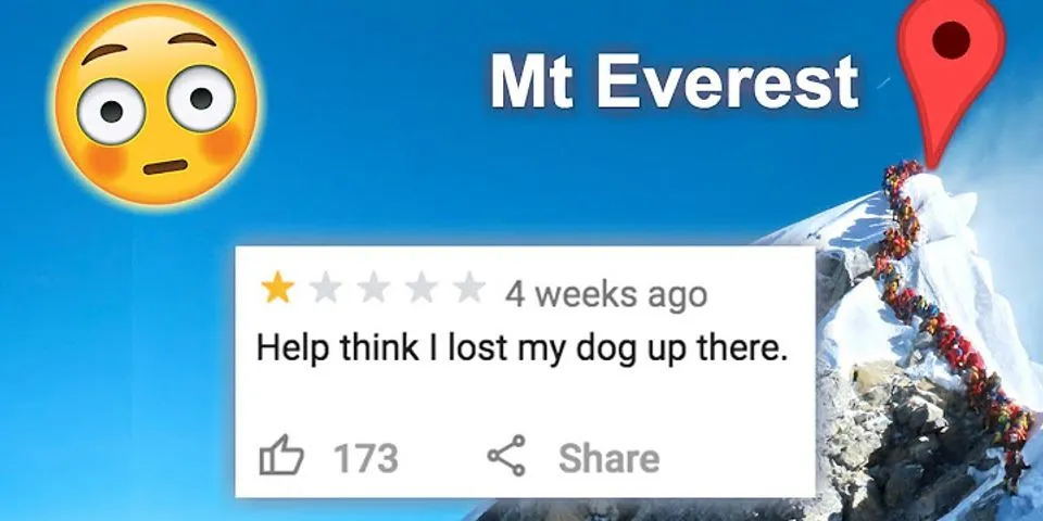 Funny reviews on Google