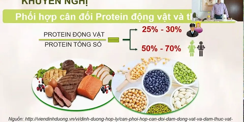 Protein chiếm bao nhiêu phần trăm trong cơ thể