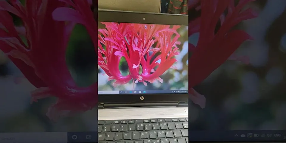 Second Hand Laptop HP i5