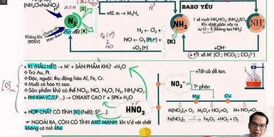 Sự chuyển hóa nitơ được tóm tắt theo sơ đồ có bao nhiêu phát biểu sau đây đúng