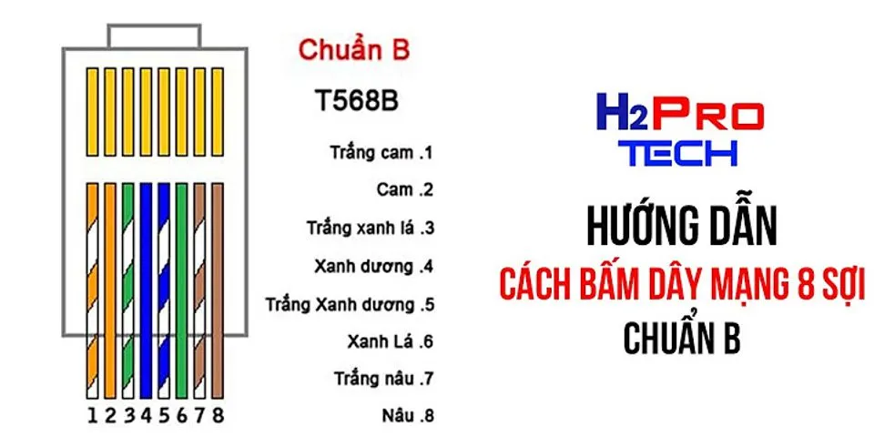 Tại sao dây mạng có 8 sợi