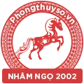 tu-vi-tuoi-nham-ngo-2002-nam-2021