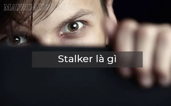 stalker là gì