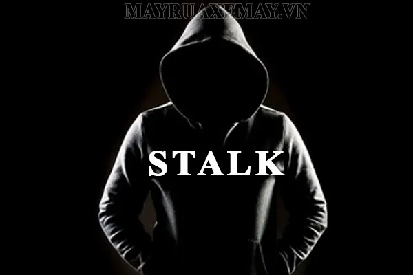 Stalk là gì? NYC là gì? Những điều bạn cần biết về Stalk và NYC