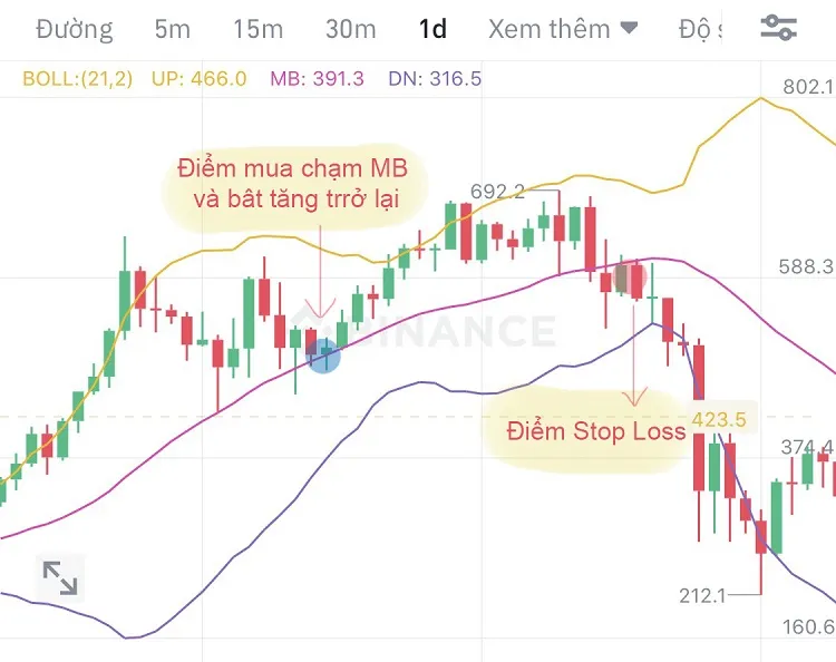 Stop Loss là gì? Hướng dẫn cách đặt Stop Loss