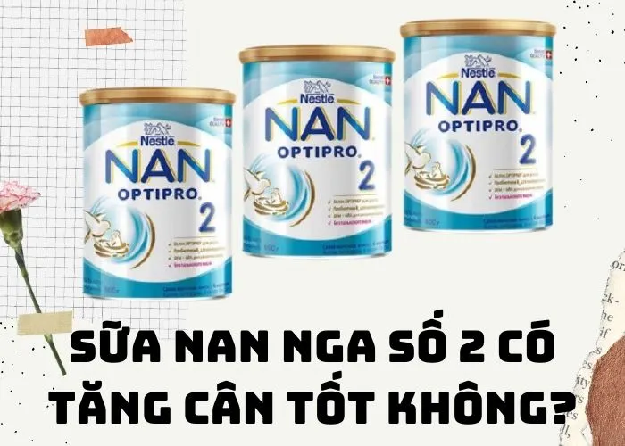 SỮA NAN NGA SỐ 2 CÓ TĂNG CÂN TỐT KHÔNG?