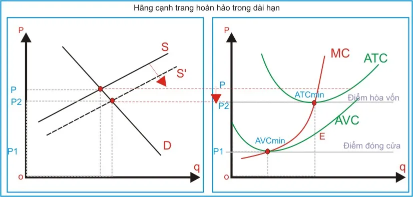 kinh te hoc p21-CCHH trong dai han