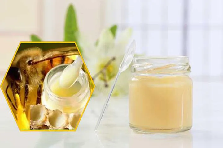 15 tác dụng thần kỳ của sữa ong chúa và cách sử dụng như thế nào cho hiệu quả