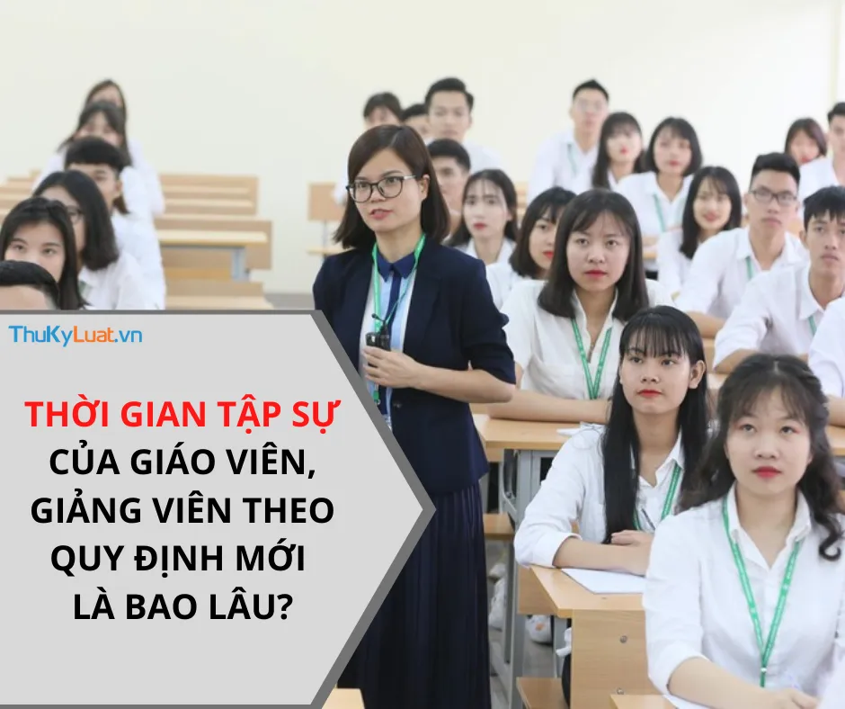 Thời gian tập sự, 