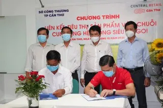 Liên kết tiêu thụ sản phẩm của HTX vào chuỗi Siêu thị GO!